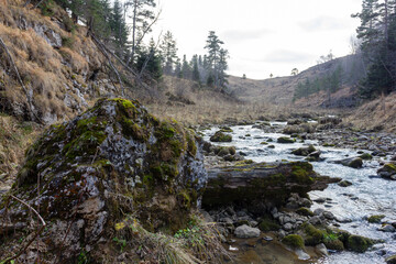 autumn morning, walking along the bed of a mountain river that has become shallow by the beginning of the winter period and exposing its rocky bottom.