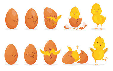Chicken hatching from the egg. Cartoon baby chick step-by-step born process. Newborn little cute chick, small baby bird emergence from egg, cracked shell. Funny domestic animal © the8monkey