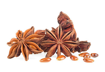 Group of anise star spice fruits and seeds isolated on a white background