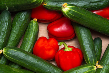 Vegetables in a box
