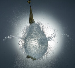 A water freeze after pneumatic bullet