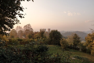 Fototapeta na wymiar Paesaggio con castello ed alberi
