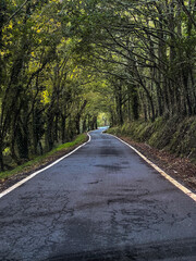 Distrito Xermar (Alberte sánchez Regueiro)