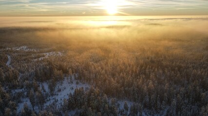 Obraz premium Wintersonnenaufgang bei Hochnebel im Schwarzwald