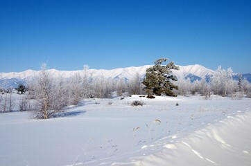 Landscape in winter in Siberia, in Russia