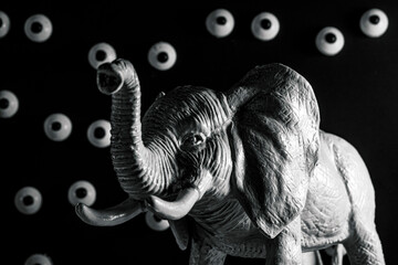 Elephant In the Room