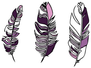 feathers pink and purple