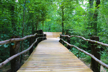 Obraz premium chosen focus. A wonderful library made entirely of wood among the trees in Izmit Ormanya 