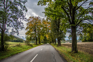 Fototapeta na wymiar road in the countryside, autumn, Turiec, Slovakia, Europe
