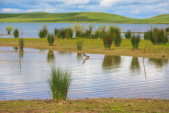 Reservoir in Turlock California