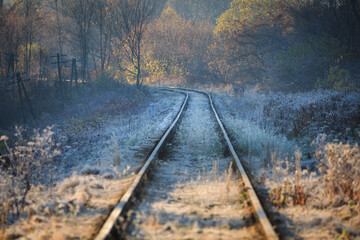 Fototapeta premium railway in the woods