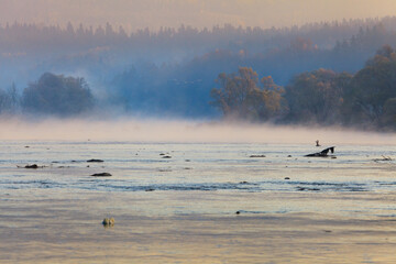 jesienna mgła nad rzeką san w Bieszczadach
