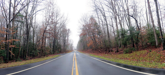 Fototapeta premium Autumn country road in the morning mist