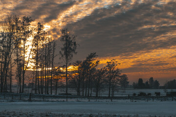 sunset in the forest