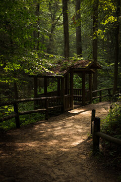 Forest Trail Hut Red River Gorge Kentucky