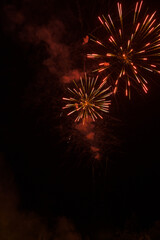 fireworks display lights up the sky during celebration