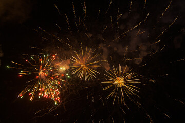 fireworks display lights up the sky during celebration