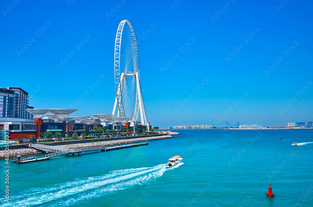 Canvas Prints Ain Dubai ferris wheel and azure waters of Persian Gulf, Dubai, UAE