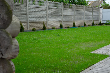 A beautiful artificial lawn in the front yard with nice flowers and shrubs surrounding
