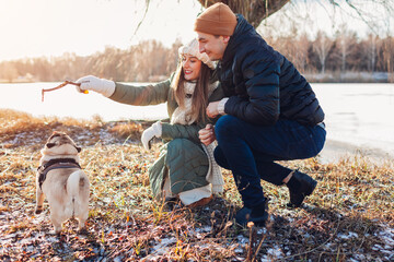Fototapeta premium Young couple walking pug dog in snowy winter park. Master playing with pet holding stick. Activities with animals