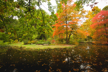 Autumn Pond Bench