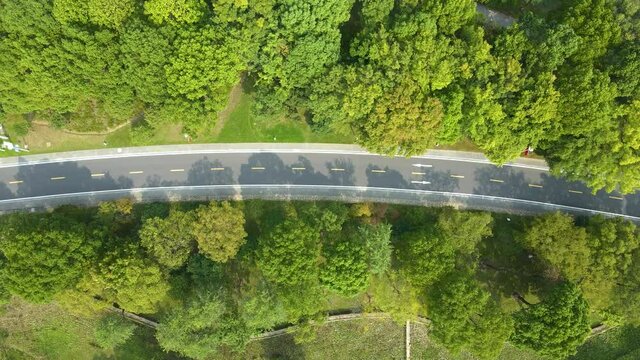 Aerial photography outdoor forest road closeup