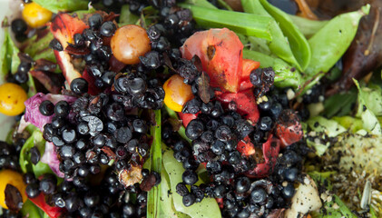 Kitchen and garden scraps -  decomposting the household waste to produce rich fertiliser - ...