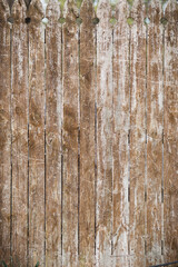 Scraped Wooden Fence