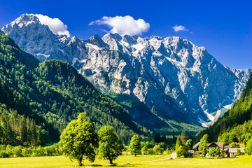 Fototapeta na wymiar Logar valley or Logarska dolina in the Alps of Slovenia