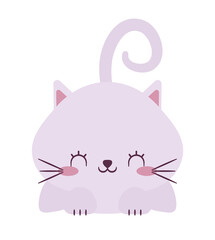 cute purple cat