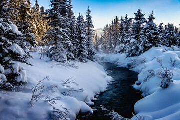 Fototapeta na wymiar Image of a small creek flowing through a snow covered spruce forest in the mountains on a sunny day. With the sun rising and hitting the trees the viewer is left with a feeling a peace and tranquility
