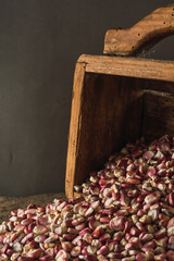 Typical Mexican red corn on a wooden panel, a traditional measure in Central and South America to...