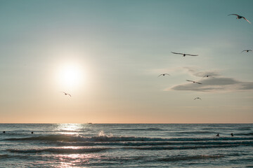 Naklejka na ściany i meble sunset beach with flying birds