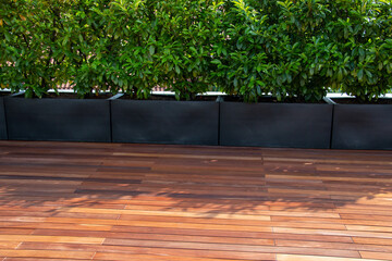 Ipe pool deck design, geometric lines of hardwood timber decking next to the swimming pool - obrazy, fototapety, plakaty