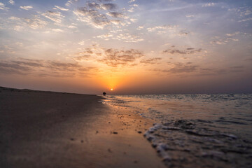 Nature is waking - Qatar