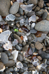 pebbles and white glass on the beach - vertical