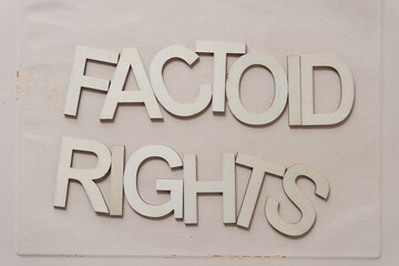 "factoid rights" in wood type isolated on paper