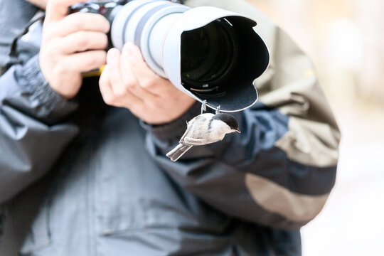 The brave bird jumped on the photographer's lens during the bird-watching photo shoot.