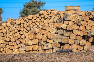  Steel fence, wood, logs, wood logs. yard, Logs Of Wood.   