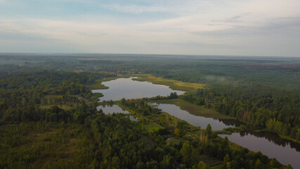 Aerial view of a lake and forest with green trees. Landscape scene. Ukraine