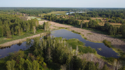 Aerial view of a lakes and forest with green trees and dry grass. Landscape scene. Ukraine