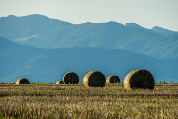 bales of hay in a field, Turiec, Slovakia, Europe