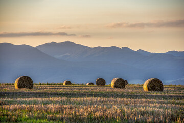 hay bales in the field, Turiec, Slovakia, Europe