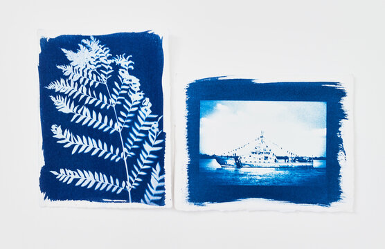 Two cyanotypes print sheets isolated on white background.
