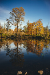 Reflection in the lake