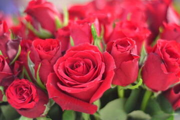 bouquet of red roses