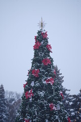 christmas tree in the snow