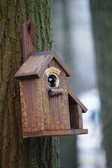wooden bird house