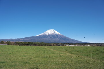 Fototapeta premium 晴れた秋の日の美しい富士山の風景