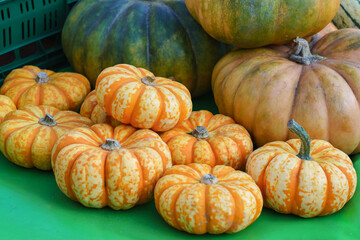 A bunch of pumpkins are scattered on the ground. Sale on the market.